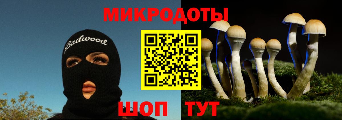 Кодеин Куйбышев